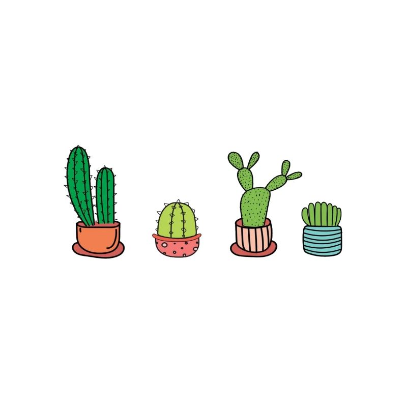 Cacti