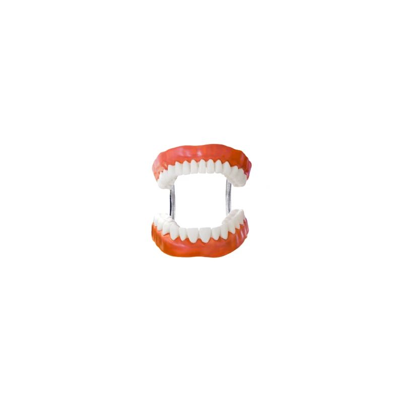 Dentier