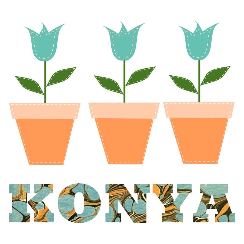 Konya E 204