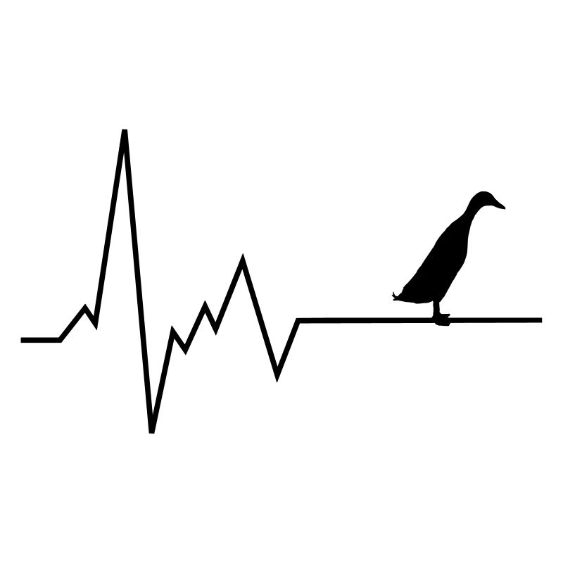 Canard en cours d'exécution