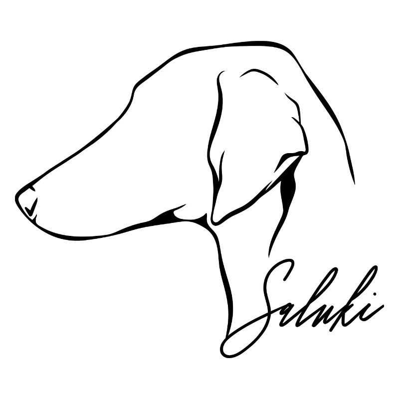 SALUKI Smooth Profile Chiens Wilsigns
