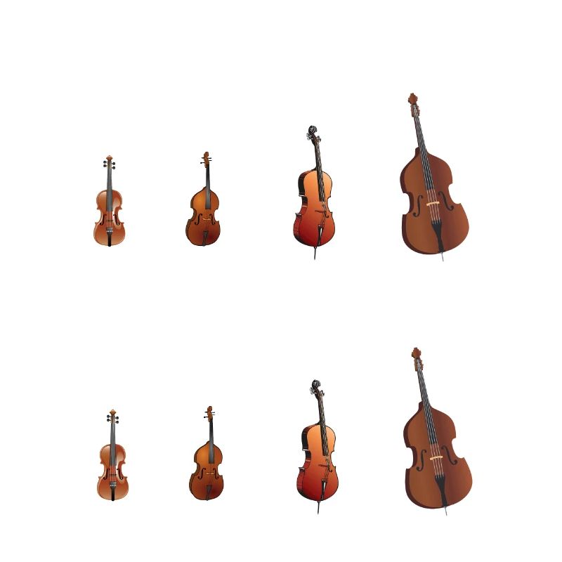 String Section-Stadt Dirigent Geschenk