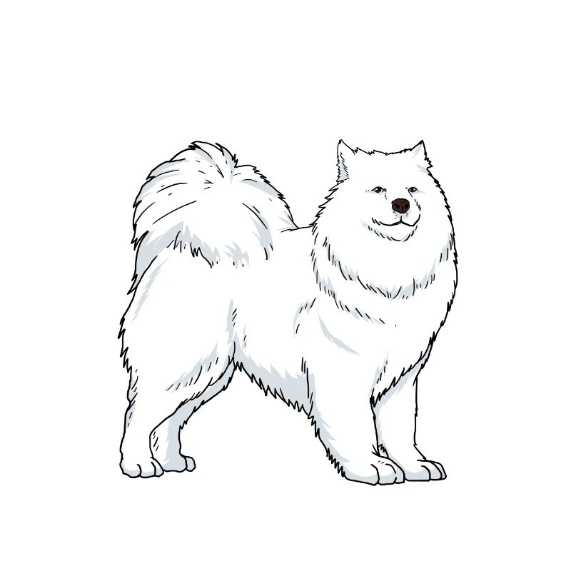 Samoyed Dog Owner Gift Idea