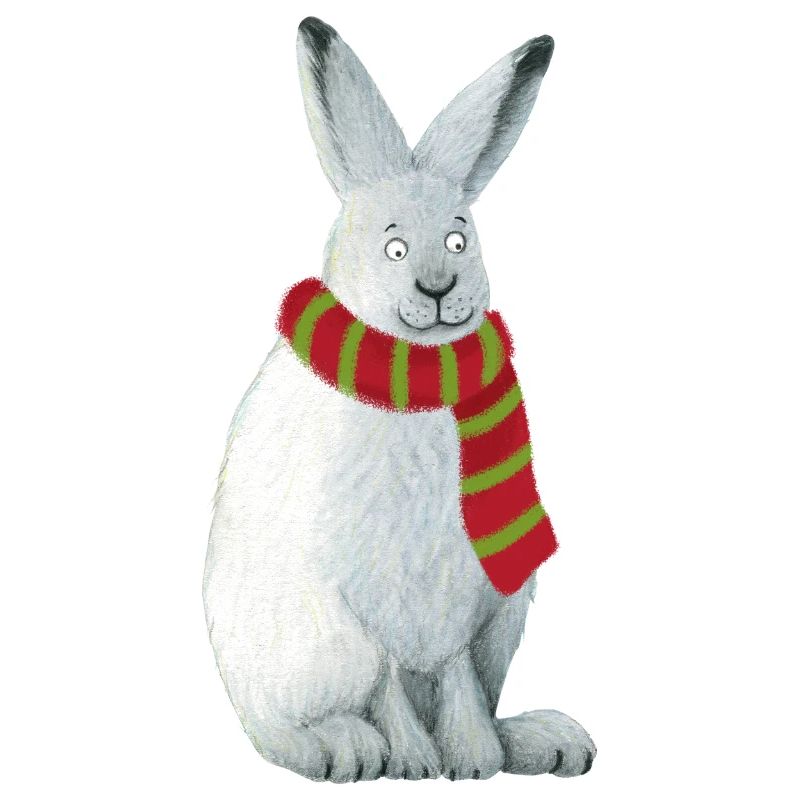 Arctic hare