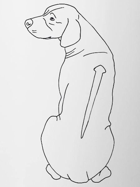 Rhodesian Ridgeback
