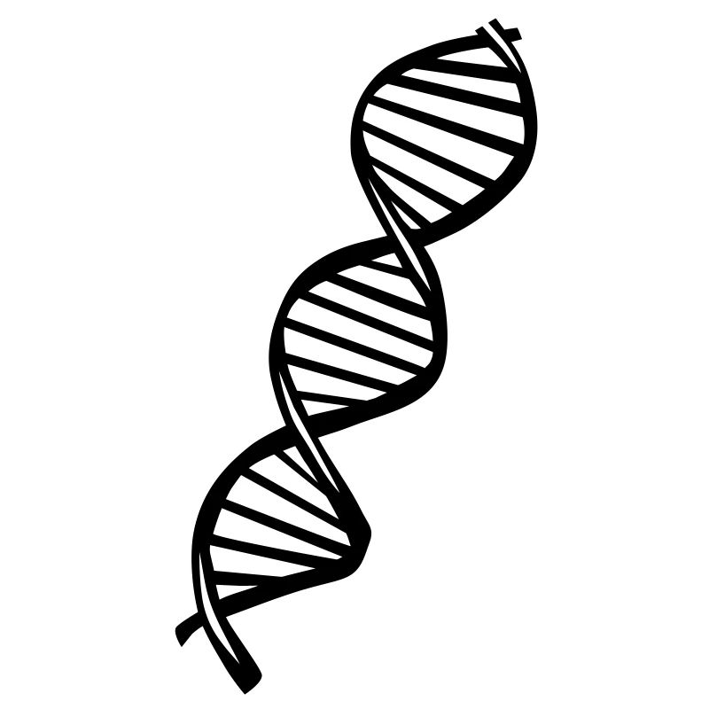 DNA
