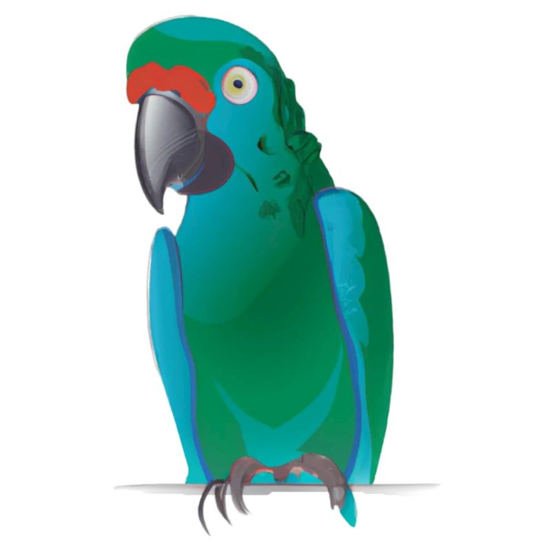 Illustration de perroquet