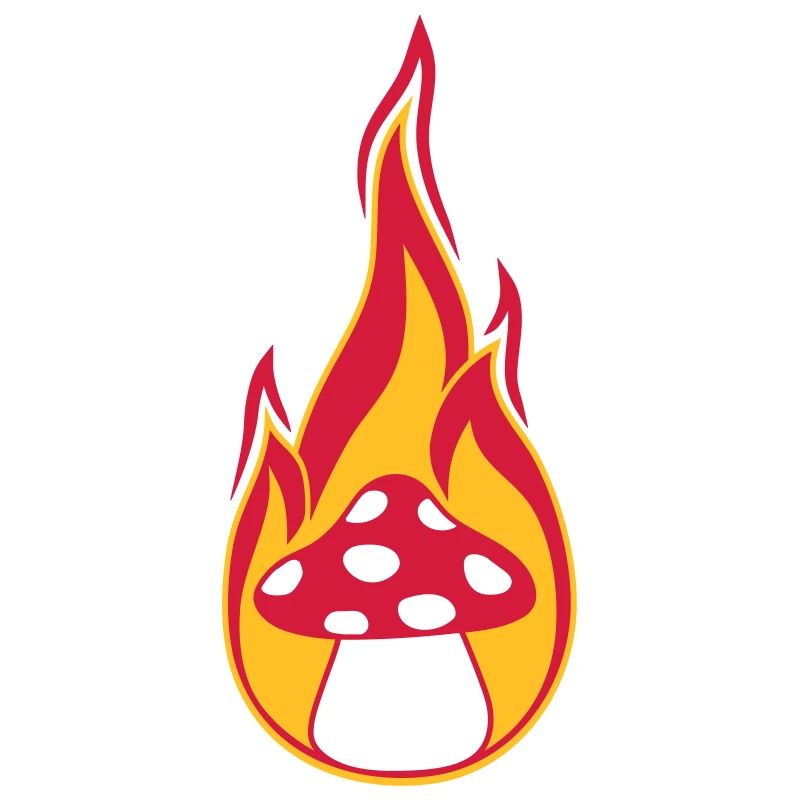 fire burn flames hot mushroom fly agaric red p