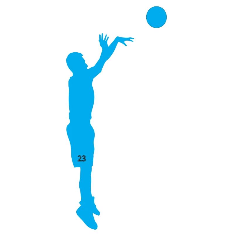 Basket-ball