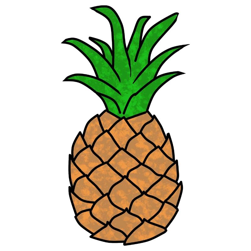 Pineapple Drawing