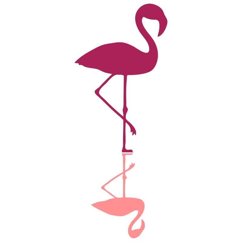 flamingo mirroring water mirrored reflection r