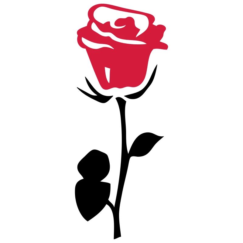 rose fleur
