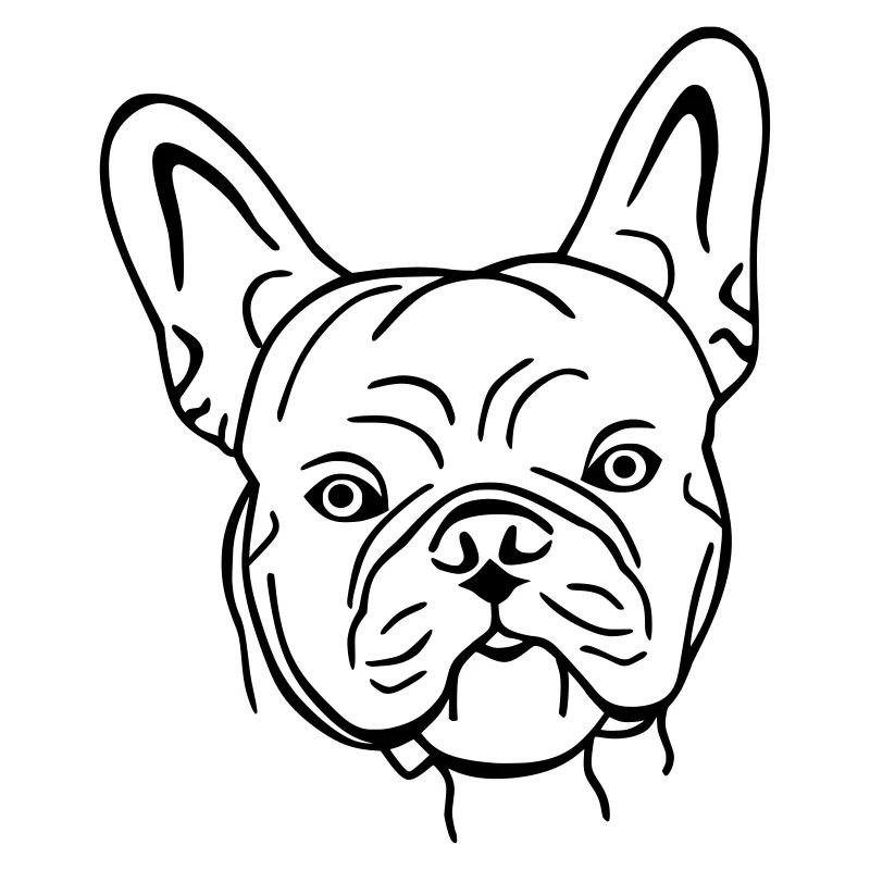 bully 1
