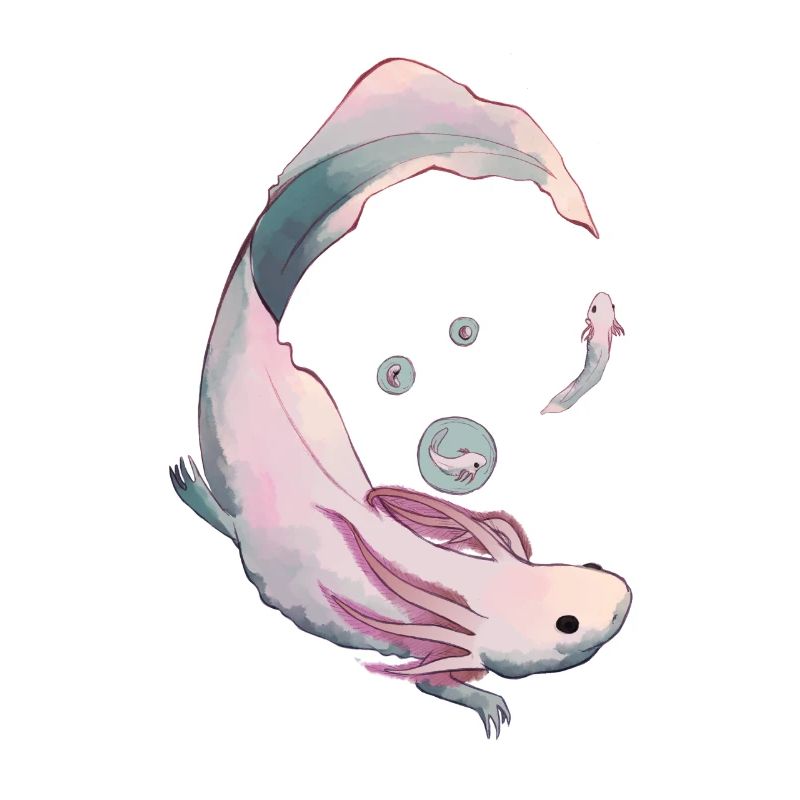 Axolotl Evolution