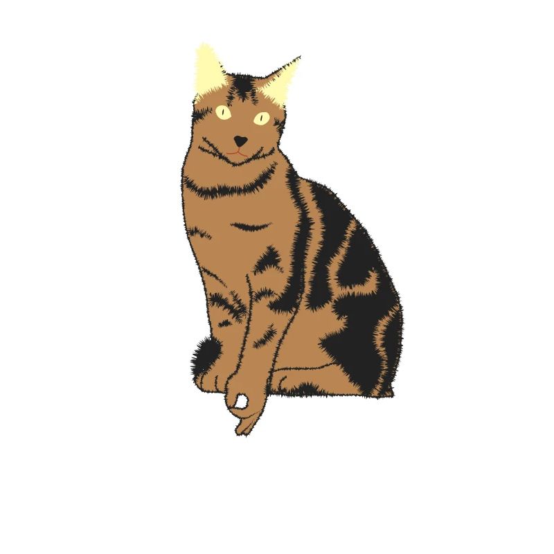 Regarde à l’intérieur - chat