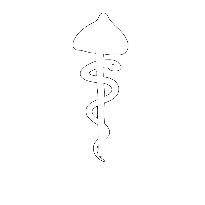 Serpent de champignon, illumination de DMT d'hallucination de drogue