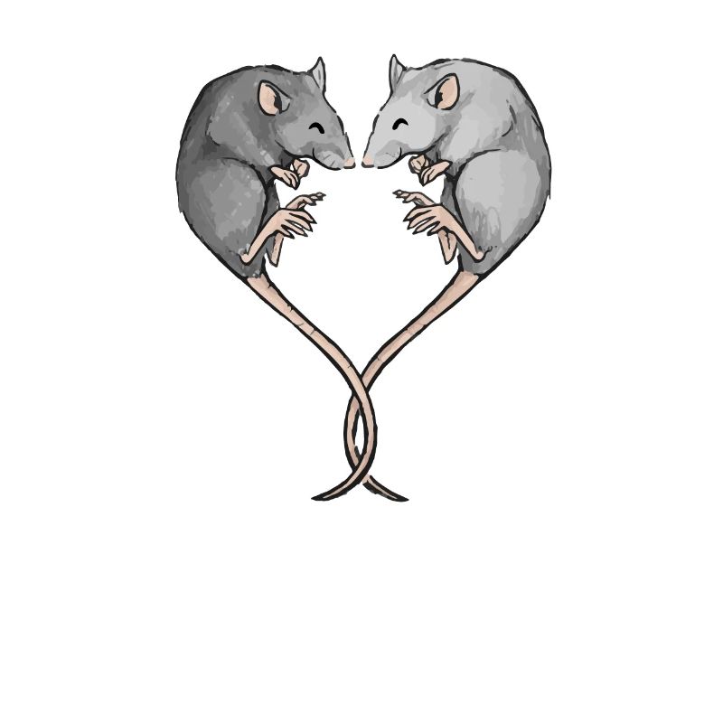 Rat de compagnie