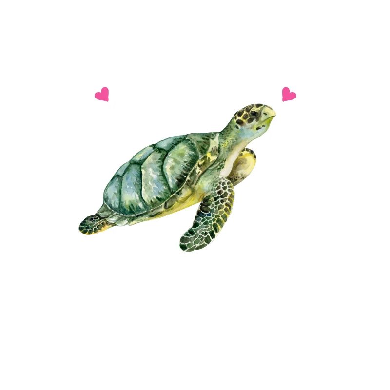 Sea Turtle