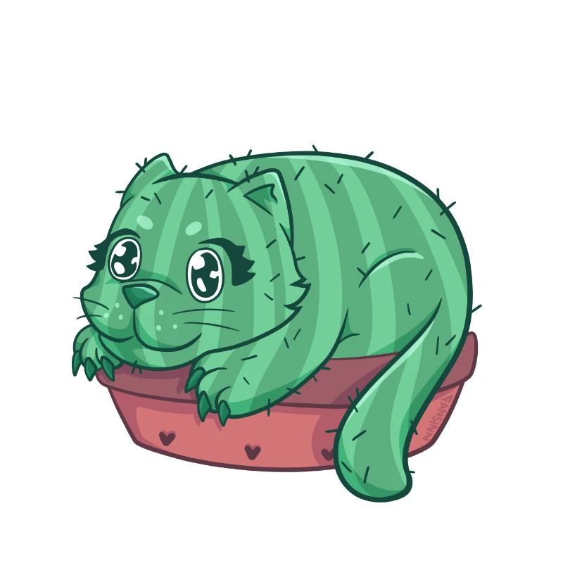 Catcus chat cactus chaton maison tigre