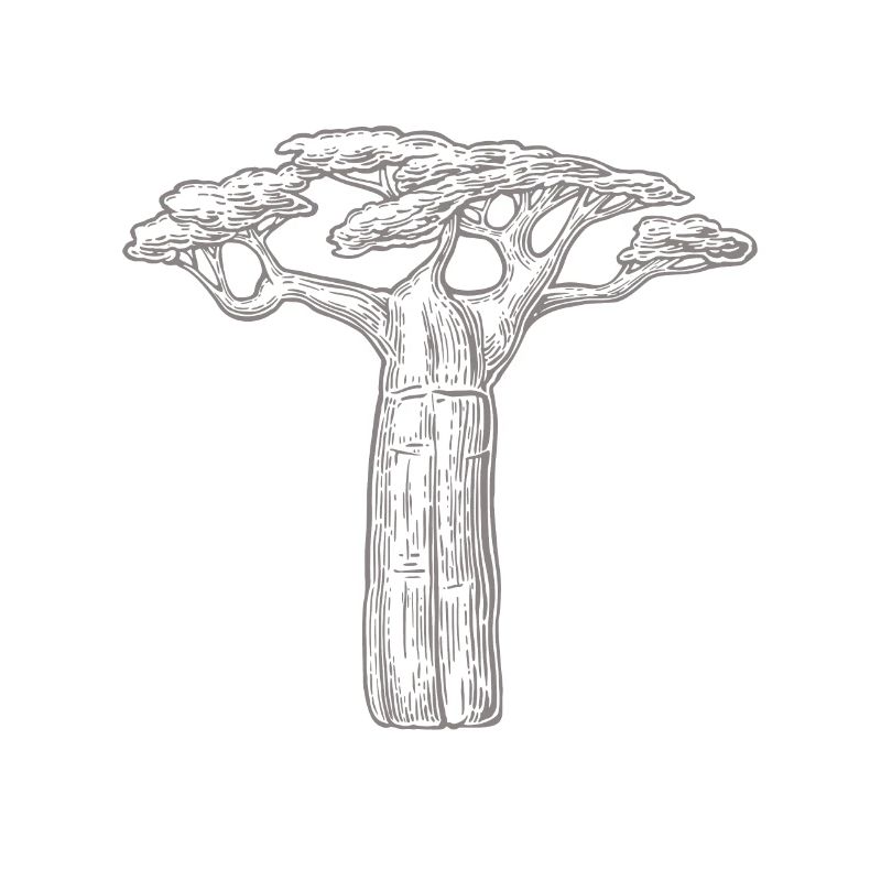 baobab trees lover gift Africa Graphic