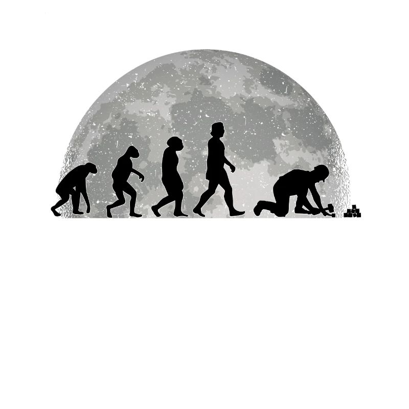 Pavage Evolution Lune Pierre Cadeau