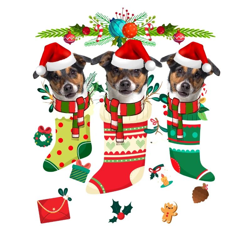 Pull de Noël moche Jack Russell Terrier Chien