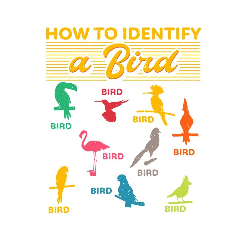 Comment identifier un oiseau d’observation