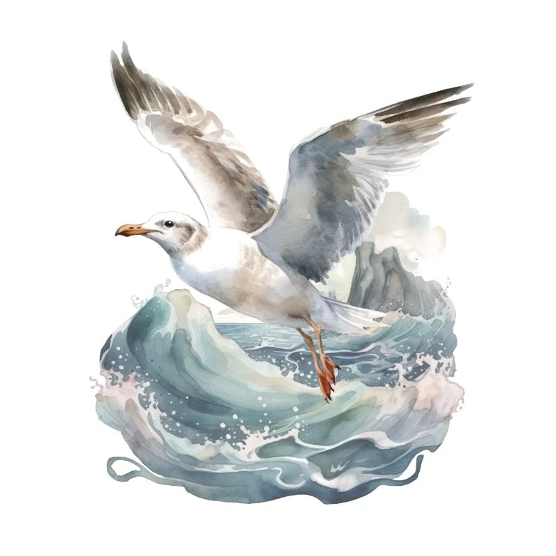 Möwen Möwe Seevögel Seevogel Meer maritim