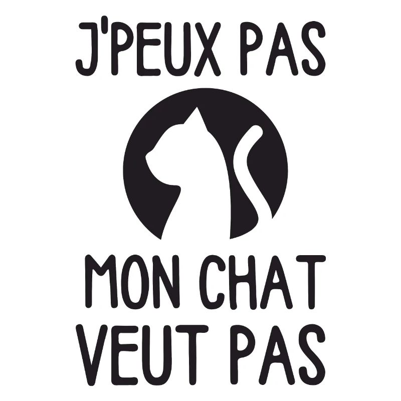 Chat mignon Ragdoll chaton doux