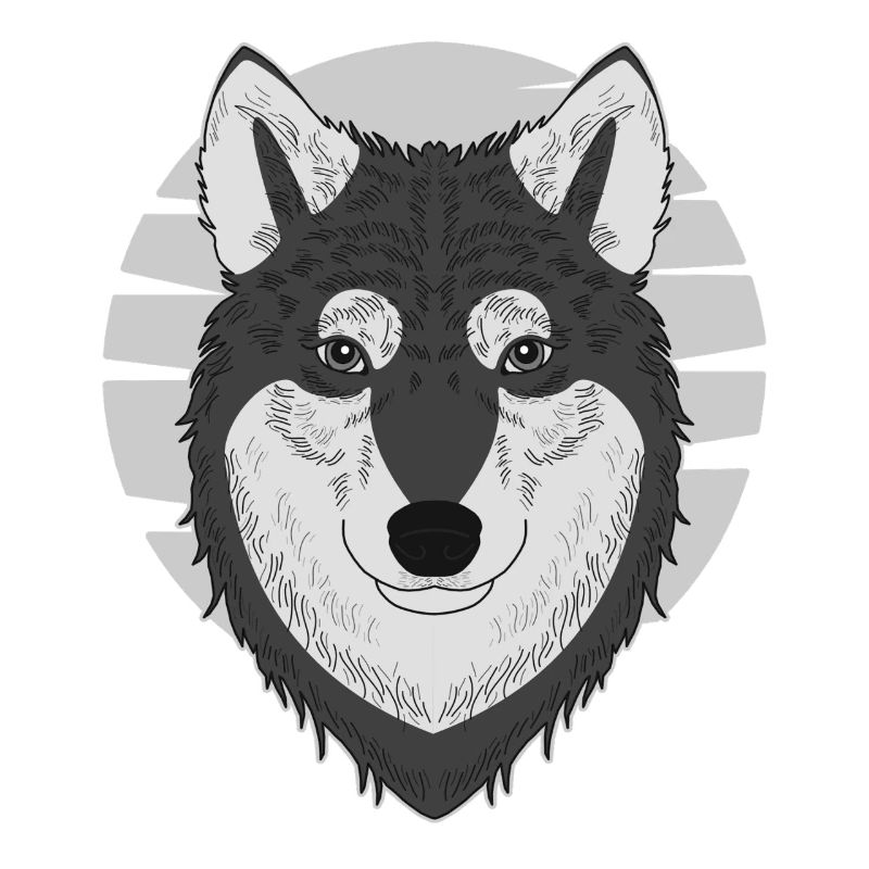 Chien