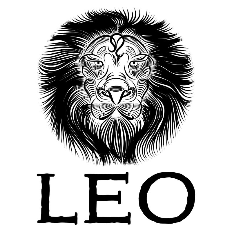 leo1s Zeichenfläche 1