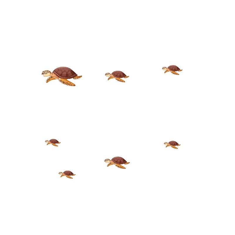 Ce que je fais de mon temps libre tortue