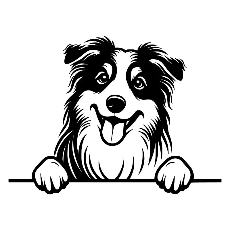 Peeking Australian Shepherd Vector
