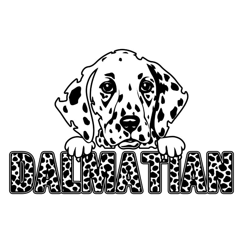 Dalmate