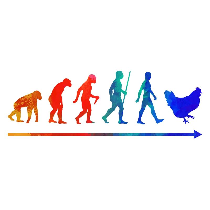 Chicken Evolution
