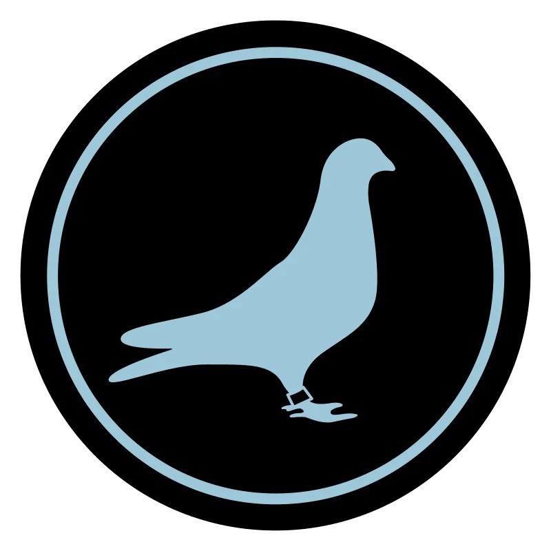 Racing pigeon