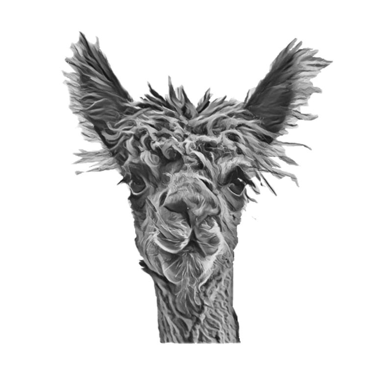 Alpaca Black White