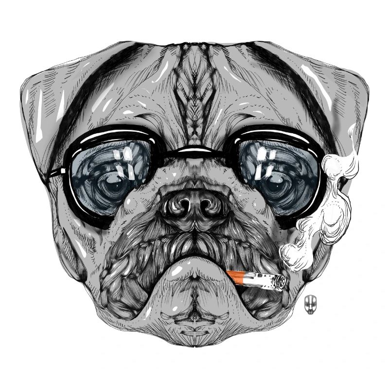 Pug Intelectual