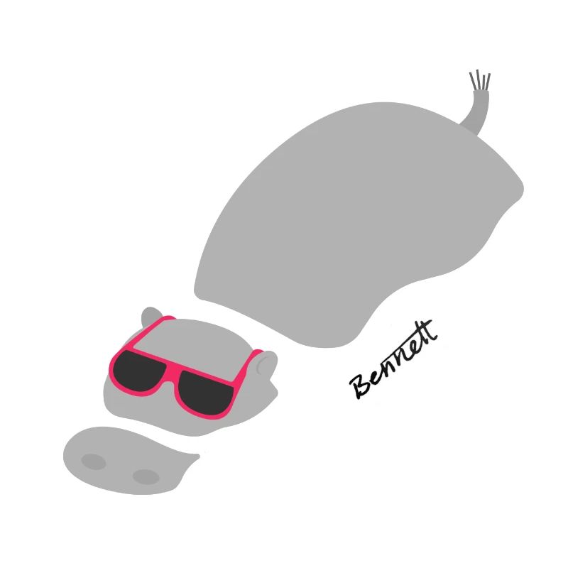 Chillin 'Hippo