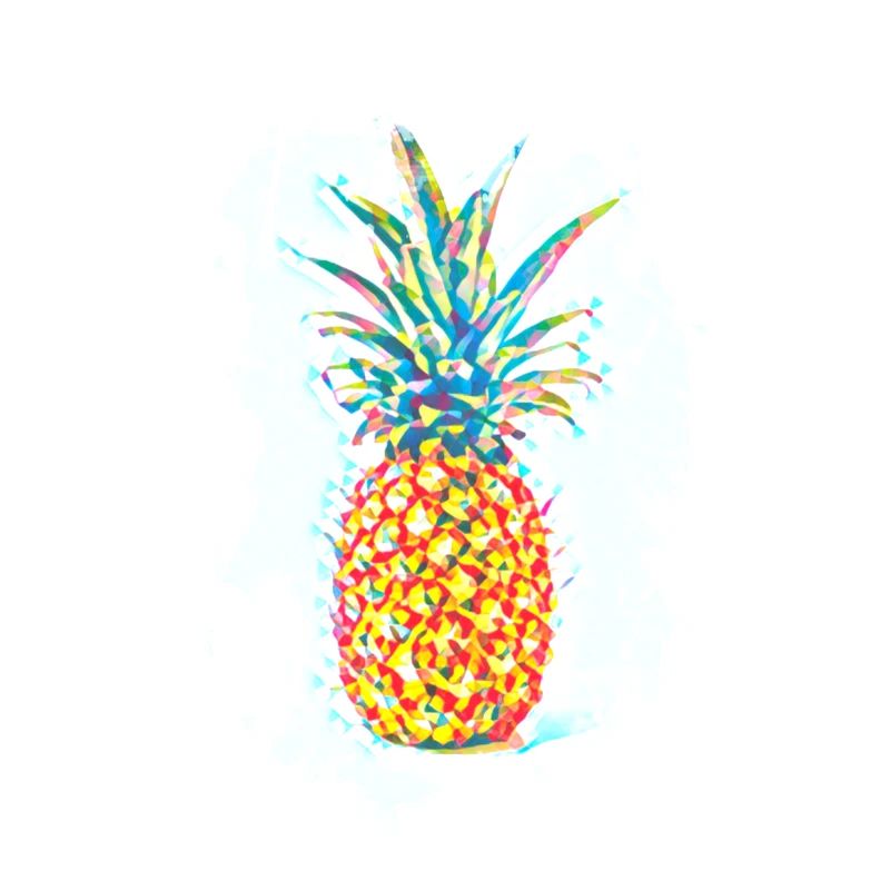 Pineapple Drawing