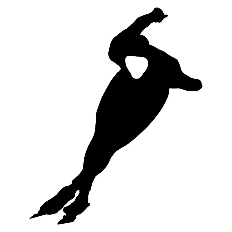 skater, skating