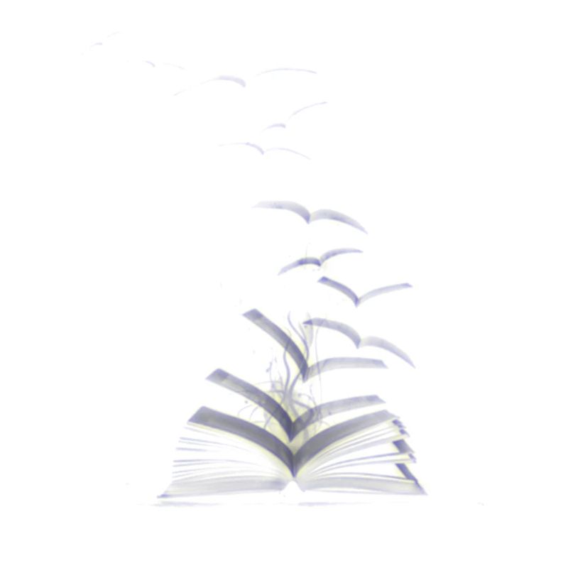 DAS LERNEN VON BÜCHER
