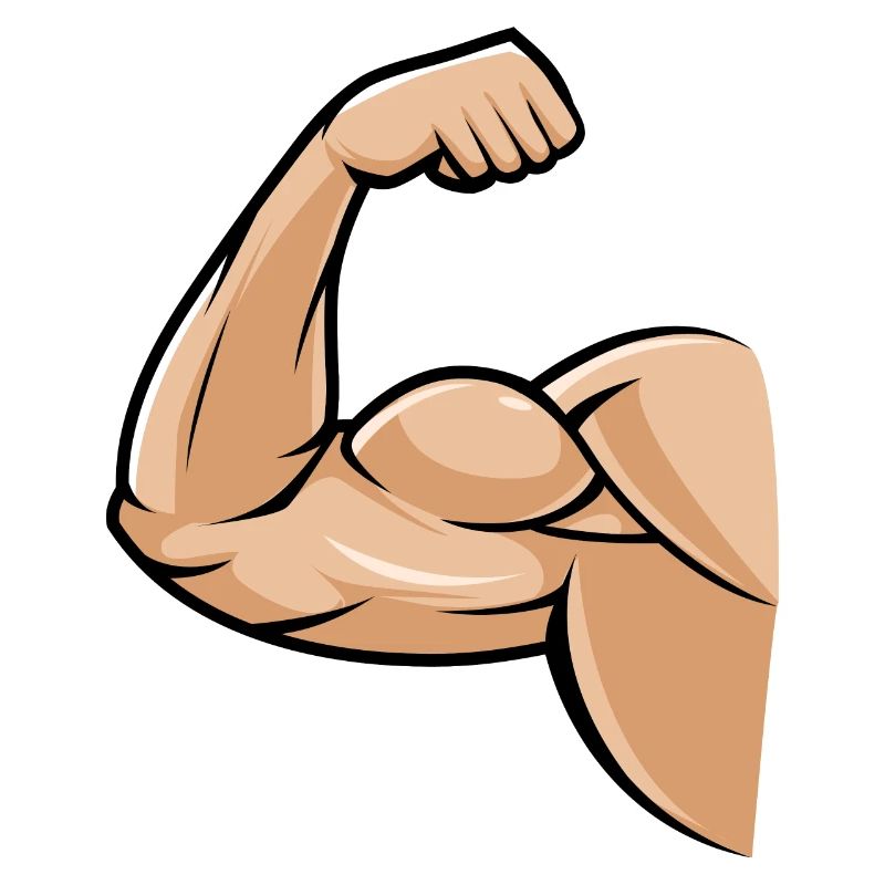 biceps muscle