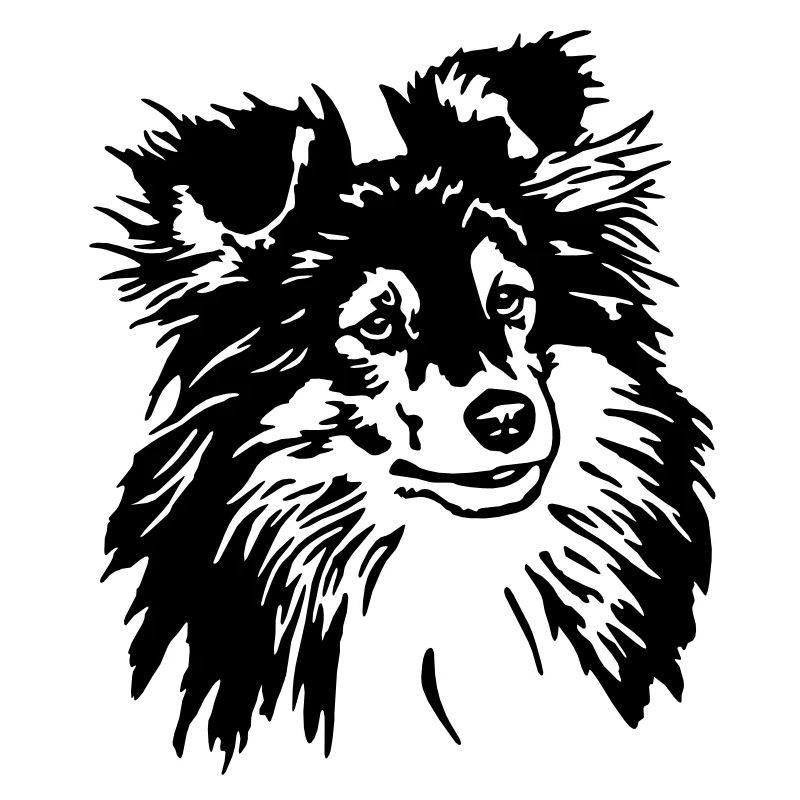 3 Sheltie