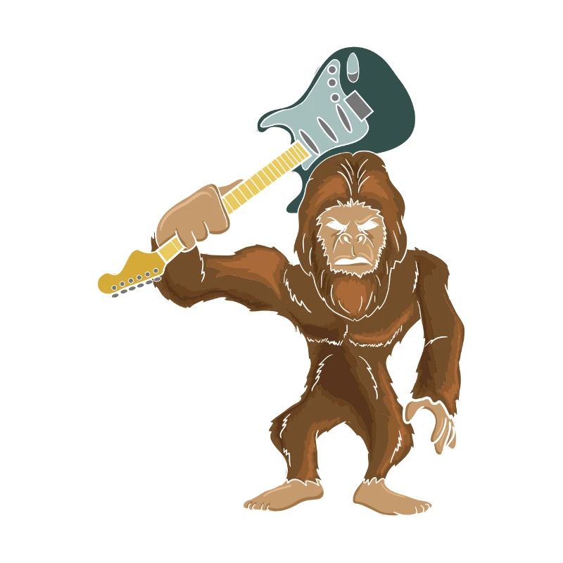 guitariste