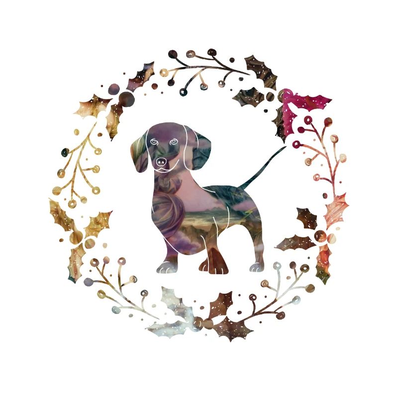 dachshund