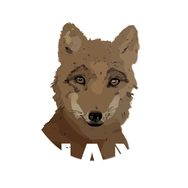 L’anniversaire de Liam Liam