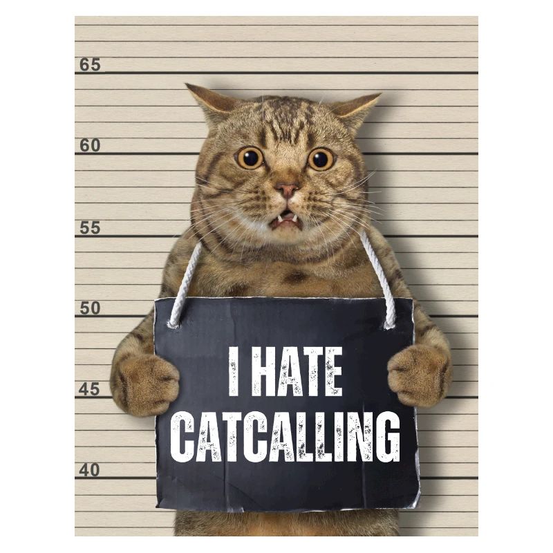 Ich hasse Catcalling