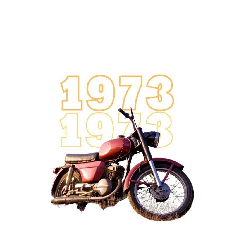 1973 Année de naissance