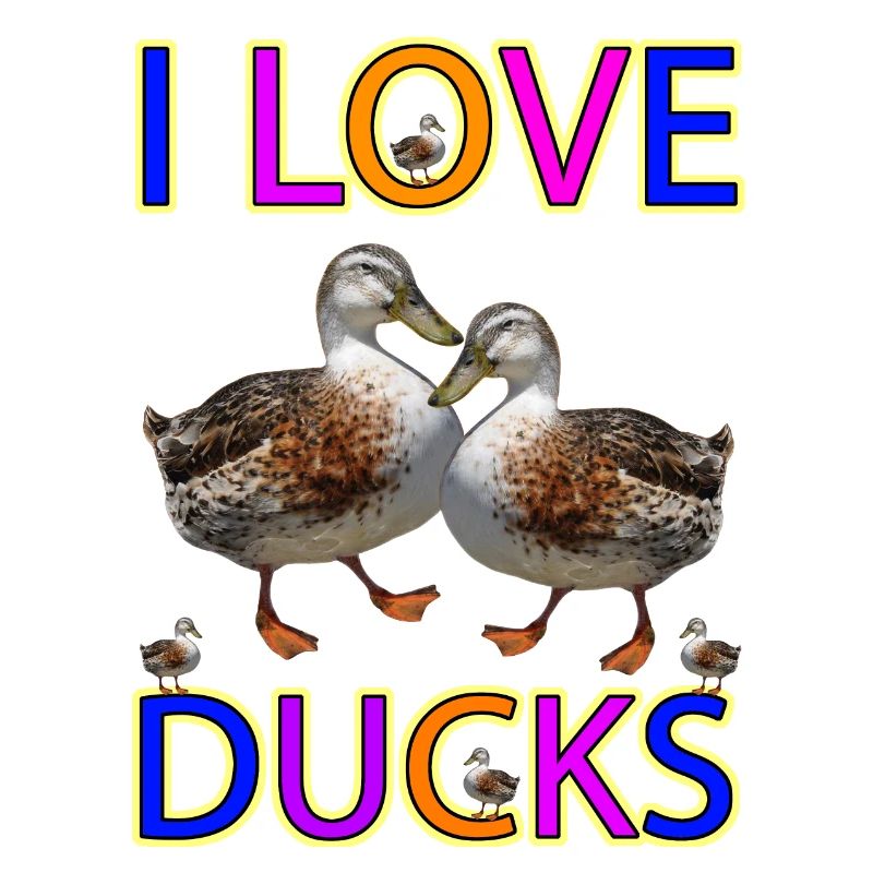 Amour de canard